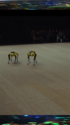 Boston Dynamics on TikTok