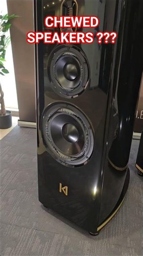 Broken Damaged BASS SPEAKERS? or High-End Technology? Purifi Speaker Surround