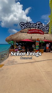 Indulge and experience Mexico Done Right at Señor Frogs! Located along the waterfront of Cozumel, this lively bar & restaurant offers live entertainment, great views of the Caribbean sea, mucho tequila, good times, and more! Next time you’re for a party in Mexico, visit @senorfrogs in beautiful Cozumel, Mexico! 🐸🇲🇽🍻 • • • • • #señorfrogs #senorfrogs #cozumel #mexico #caribbean #bar #islandlife #anywherepalmtreesgrow | Anywhere Palm Trees Grow