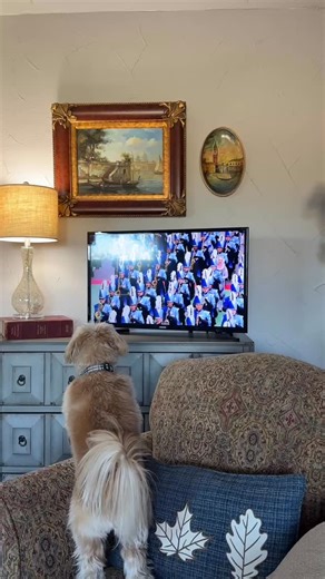 Way to go LD Bell Blue Raiders! Making @cityofhursttx proud!!! | Jay Crane