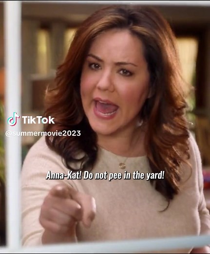 Funny Cat Video Compilation | Hilarious Moments with Cats