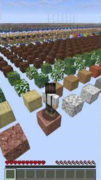 DEBUG Mode in Minecraft #minecraft #caravas #challenge