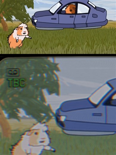 Flying Guinea Pig Cartoons & Funny Animations