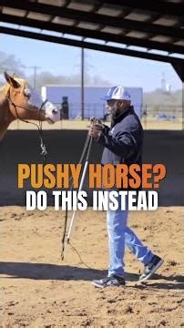 Why Your Horse Blocks the Gate | Fix Gate Manners Fast