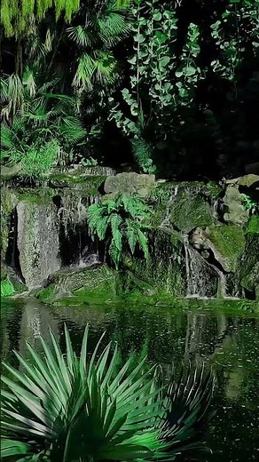 Bruit de la Nature | Musique Zen pour la Méditation | Chants d'oiseaux | Relaxation | Dormir.