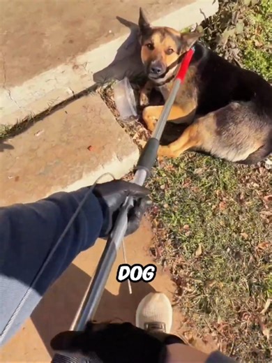 Explore Fascinating Facts That Will Surprise You