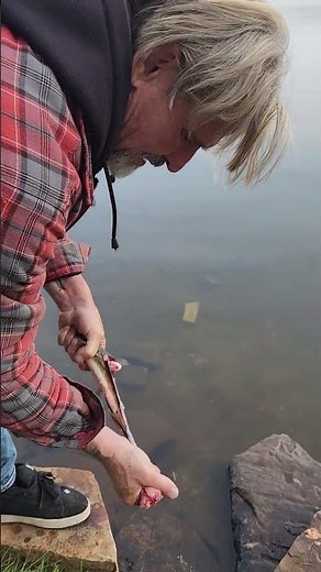 How to fillet bullhead. #filetfish