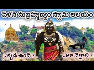 Palani subramanya swamy temple full tour in telugu | Palani temple | Palani |#palani #murugan#viral