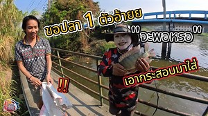 688K views · 10K reactions | ขอปลา1ตัว จะพอหรอ ไปเอากระสอบมาใส่!!✅...