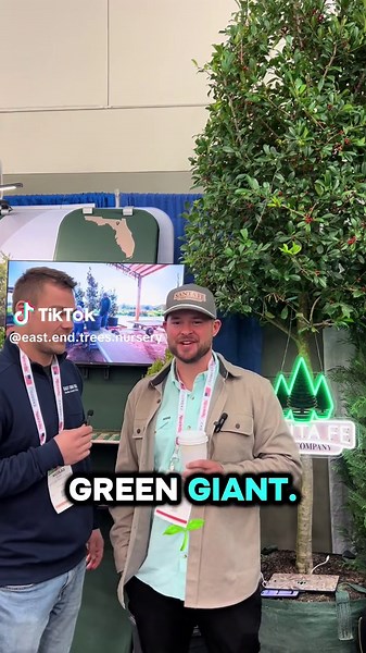 Would you have voted differently? Taylor Juniper taking home the championship belt! #fyp #explorepage✨ #plant