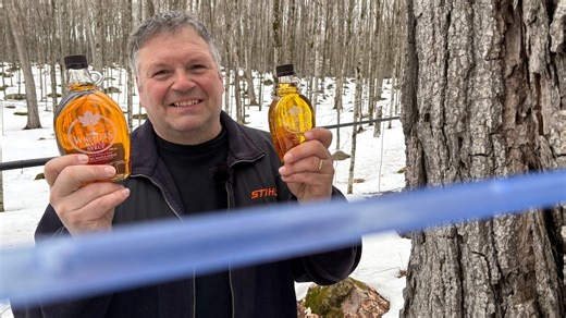 Cold start to spring ‘perfect’ for making maple syrup