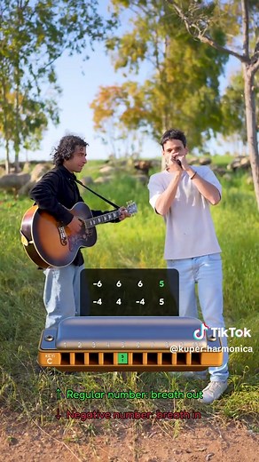 How to Play Country Roads on Harmonica