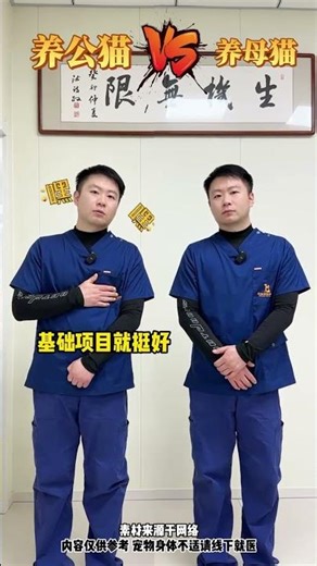 The estrus periods of male and female cats are quite different. After reading this you won