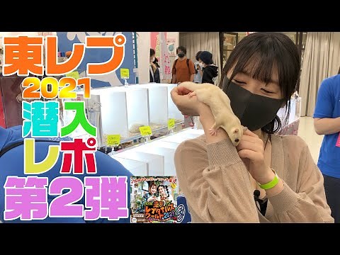 [Tokyo Reptiles World 2021] ~ Japan's largest reptile event ~ Part 2 of our undercover report on ...