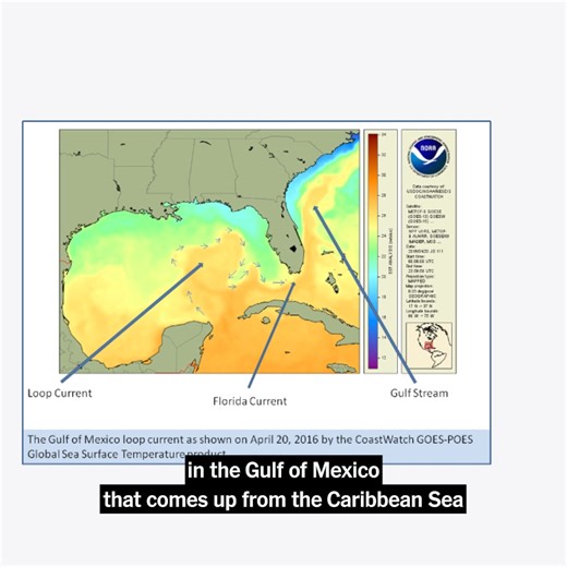 63K views · 735 reactions | In just over 12 hours, Hurricane Helene transformed from a Category 1 to a Category 4 hurricane — the strongest ever to hit the Big Bend coast of Florida. Our reporter explains why it grew so strong. https://nyti.ms/3XZL6OC | The New York Times | Facebook