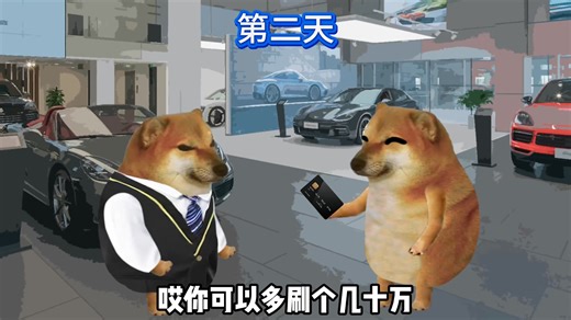 资产永久五百，还有这好事 #cheems小剧场 #cheems #搞笑 | Cheems大剧场