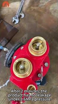 2 way breeching inlet