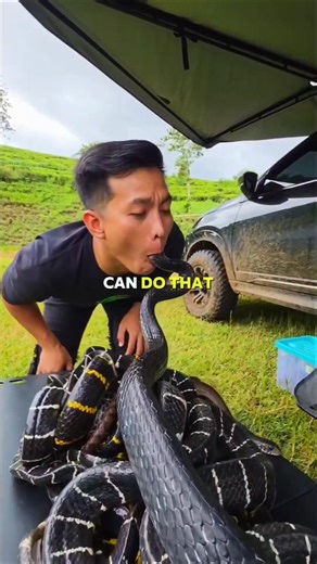 When a King Cobra Shows Respect to a Human 😮🐍