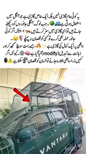 Not a Normal Car 😲🚙 | Ultimate Jungle Safety Vehicle 🐅🛡️#Car#Jungle#Safety#Amazing#Animals#Viral