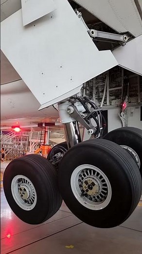 B787-800 Landing Gear Ret/Ext Test