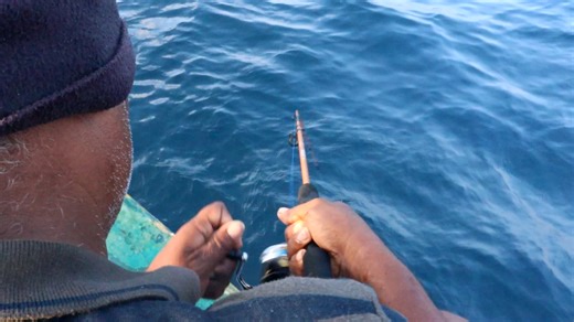 11K views · 128 reactions | Parrot fish & Snapper fish catching in deep sea fishing, rod & reel fishing | Kadal Raasa Fishing | Facebook