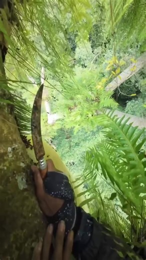 THIS WOULD GIVE ME NIGHTMARES - @EMAN MADU