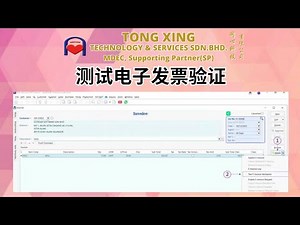 测试电子发票验证 (TESTING ELECTRONIC INVOICES VERIFICATION)