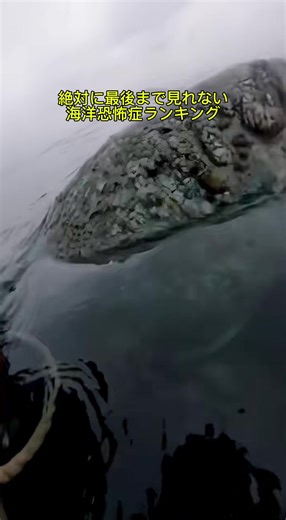 海洋恐怖症の恐怖をランキング形式で紹介