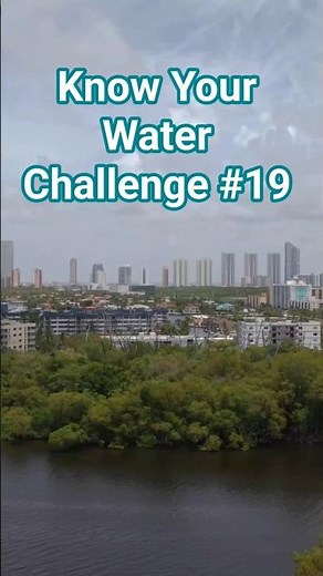 Florida’s Busiest Waterway Loaded with Snook, Tarpon & Sharks 🌊 | Know Your Water