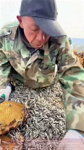 This Tool Efficiently Shells Sunflower Seeds: How Many per Hour?