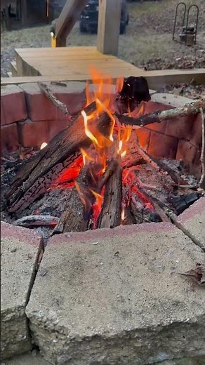 Campfire in the Forest at Day 🔥 Relaxing Fire Sounds & Day Birds | 30 Minutes