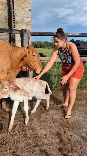 Farm Life Morning Routine 🐄 | Fresh Cow Milking Experience #villagelife #cow