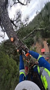 5.3M views · 158K reactions | 﫡﫡蝹 | Pasión por la madera | Facebook