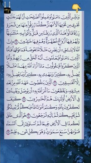 Surah Al Baqarah Ayat 22 best soothing recitation #surahalbaqarah #peacefulrecitation #shorts