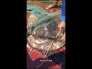 Kind-hearted fisherman releases sea turtle accidentally caught # Saving Turtles # Animal Rescue # All Things Considered #TurtleRescue #MarineLife #Oceans #NatureLovers #america #australia #turtlerescue #saveturtles #saveanimals #usa #turtle | Brilliant