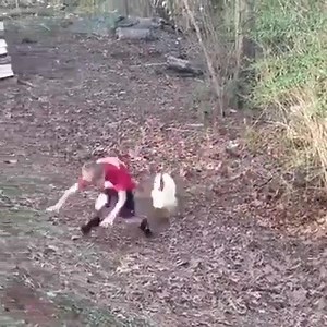 98K views · 356 reactions | Funny Animals 藍藍 | Funny Life | Facebook