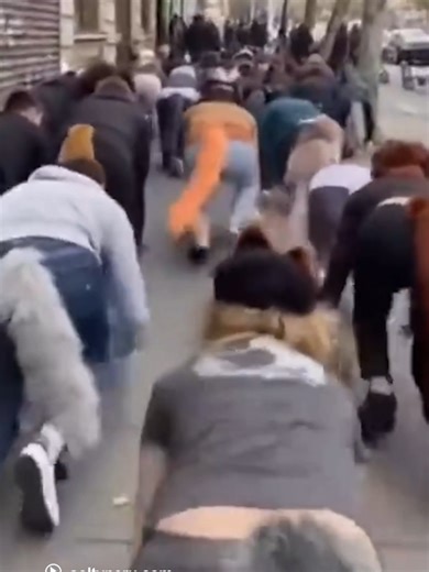 Therians: La Nueva Identidad entre Adolescentes