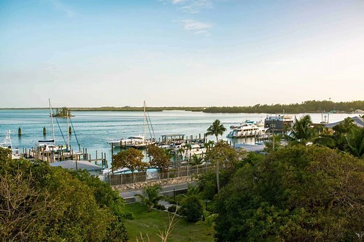 What Does Salt Life Mean: 3 Amazing Ways For Living The Salt Life