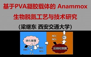 基于PVA凝胶载体的 Anammox生物脱氮工艺与技术研究（梁继东 西安交通大学）
