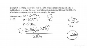 How to Calculate the Centripetal Force on an Object from a Single Force | Physics