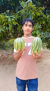 81K views · 801 reactions | Watermelon Juice Gray Fruit Milkshake Juice Making #Watermelon #Juice #Gray #Fruit #Milkshake #Juice #Making #reelsfypシ #viralreelsシ #foryouシ #watermelon #watermelonjuice #watermelonlover #milkshake #juicemaking #making #arafatmoll #shorts #reelsfacebook #reelsviralシ #viralvideo #viralreelsfacebook #page #post | Arafat Molla | Facebook