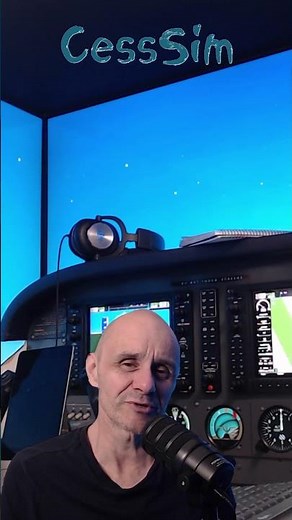 ⚡️How Unique Each Flight Simulator Can Be⚡️