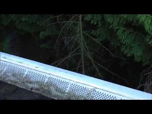 2-years after installation - Amerimax 85470 Gutter guard review