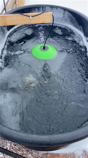 ❄️ Winter’s on its way—are your tanks ready? The Water Rippler™ doesn’t hibernate. It keeps water moving and your livestock happy all season long. Watch it work its winter magic. #RanchReady #WaterRippler #WinterProof | Water Rippler