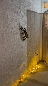 I’ve been so busy but wanted to show off our Halloween decor! | Erin Electra