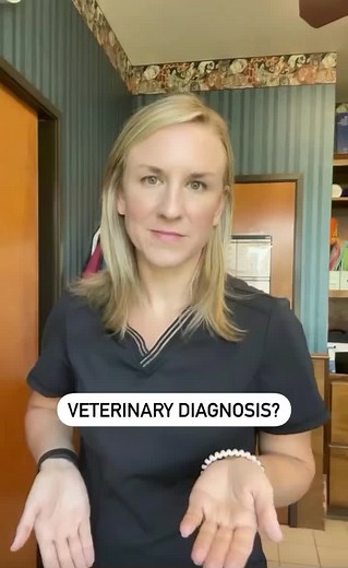 Identifying and Treating Dog Limping Back Leg Injuries