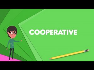 What is Cooperative? Explain Cooperative, Define Cooperative, Meaning of Cooperative