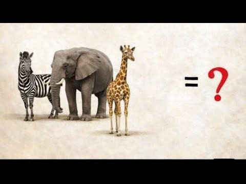 WORLD4ENGINEERS is live!Animal Weight Puzzle Challenge|Can You Find the Missing KG?| World4Engineers