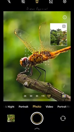 Hobby Mistry on Instagram: "Best Zoom Camera App for Mobile  Unbelievable Clarity Even at Full Zoom!  . . . . . #mobile #best #zoom #camera #new #viral #reels #mobilecamera #photography #trending #zoomapp #android #ios #viralvideo #tech #shorts #reelitfeelit #smartphone #bestapp #reeltrend #mobile #best #zoom #camera #new #viral #reels"