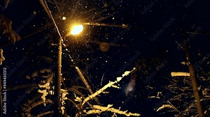 Falling snow against the black background and street lamp. Low light in the night. Winter wonderland season. Beautiful scene of snowfall and trees covered with snow